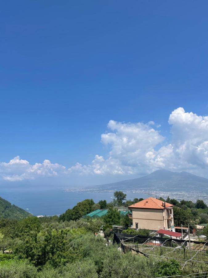 Villa Marilu Pimonte Exterior foto